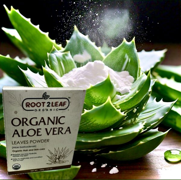 Organic Aloe Vera Leaves Powder 100g