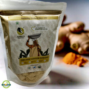 Organic Dry Gingert Powder 100g