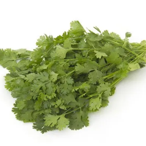 Organic Coriander 1 Bunch