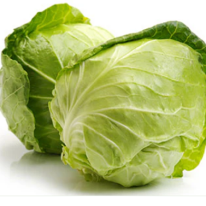 Organic Cabbage Green
