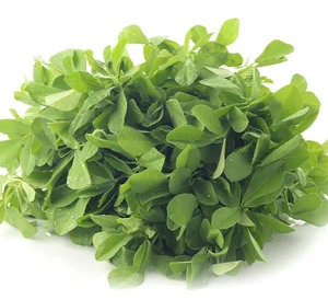 Organic Methi 1 bunch