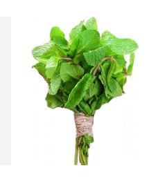 Organic Pudina 1 Bunch